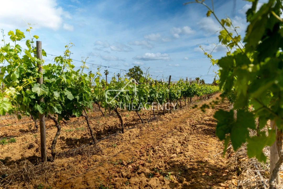Quinta T39 para Venda em Albufeira e Olhos de Água Foto 16