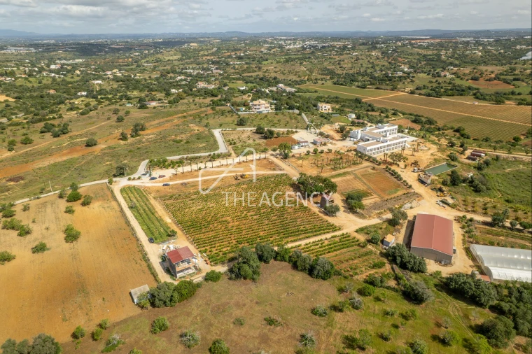 Quinta T39 para Venda em Albufeira e Olhos de Água Foto 6