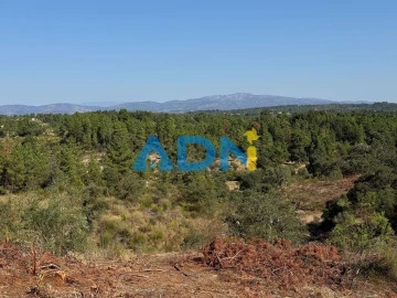 Terreno para Venda em Salgueiro do Campo