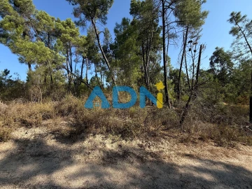 Terreno para Venda em Salgueiro do Campo