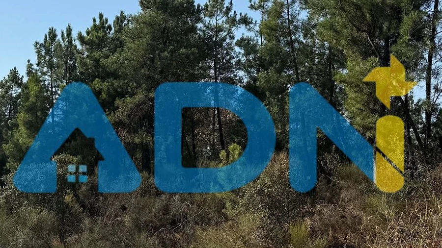 Terreno para Venda em Salgueiro do Campo