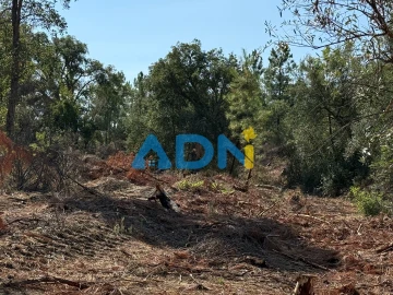 Terreno para Venda em Salgueiro do Campo