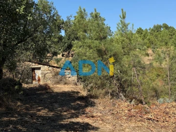 Terreno para Venda em Salgueiro do Campo