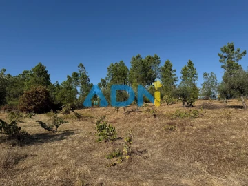 Terreno para Venda em Salgueiro do Campo