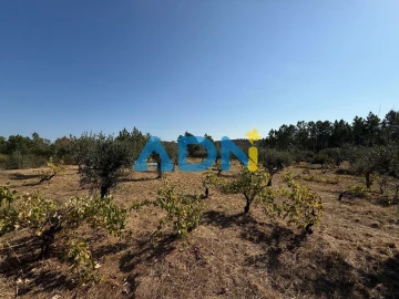 Terreno para Venda em Salgueiro do Campo