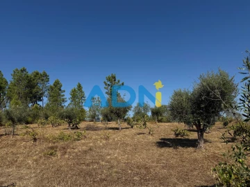 Terreno para Venda em Salgueiro do Campo