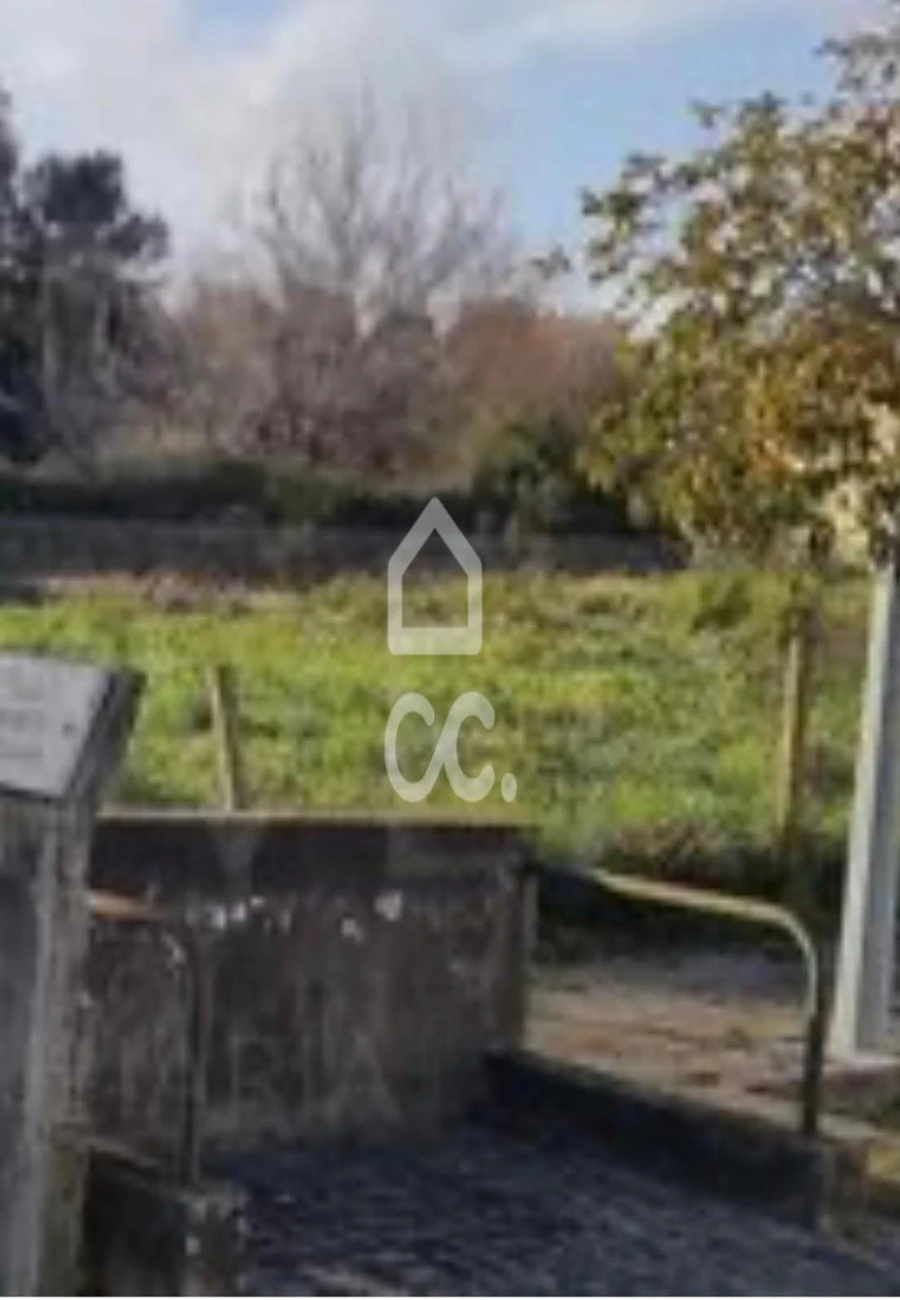 Terreno para Venda em Santa Marta de Portuzelo Foto 4
