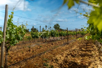 Quinta T39 para Venda em Albufeira e Olhos de Água