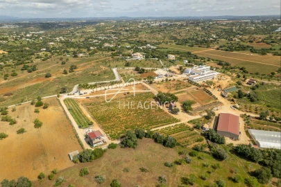 Quinta T39 para Venda em Albufeira e Olhos de Água
