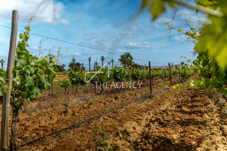 Quinta T39 para Venda em Albufeira e Olhos de Água Foto 17