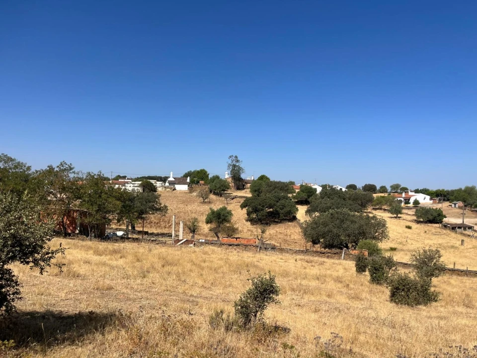 Quinta T3 para Venda em Terena (São Pedro) Foto 48