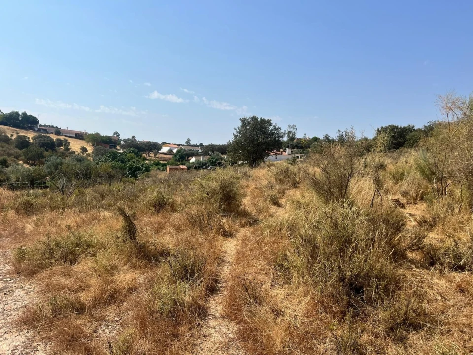 Quinta T3 para Venda em Terena (São Pedro) Foto 45