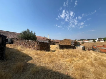 Quinta T3 para Venda em Terena (São Pedro)