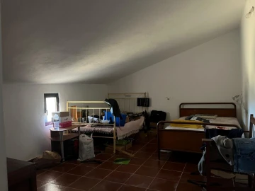 Quinta T3 para Venda em Terena (São Pedro)