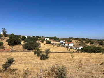 Quinta T3 para Venda em Terena (São Pedro)