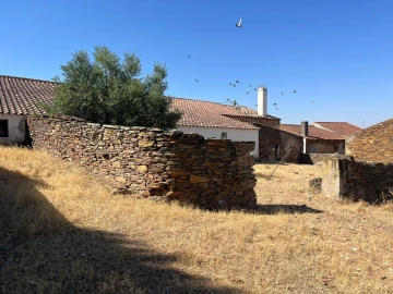 Quinta T3 para Venda em Terena (São Pedro)