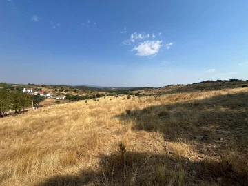 Quinta T3 para Venda em Terena (São Pedro)