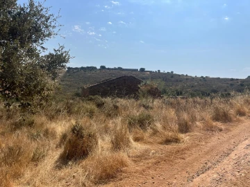 Quinta T3 para Venda em Terena (São Pedro)