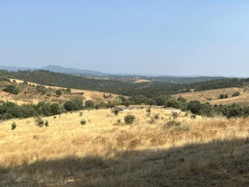 Quinta T3 para Venda em Terena (São Pedro)