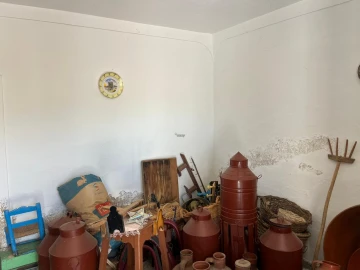 Quinta T3 para Venda em Terena (São Pedro)