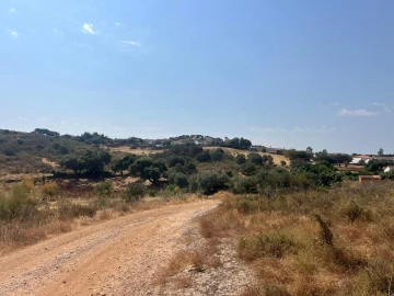 Quinta T3 para Venda em Terena (São Pedro)