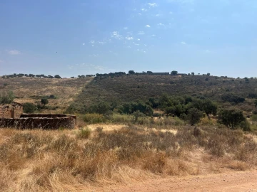 Quinta T3 para Venda em Terena (São Pedro)