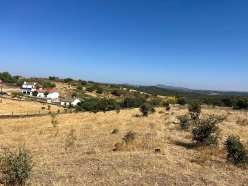 Quinta T3 para Venda em Terena (São Pedro)