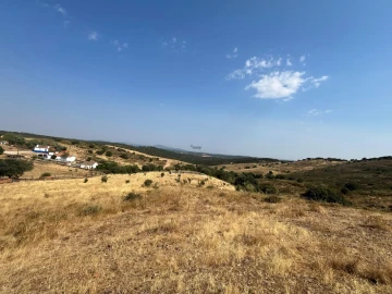 Quinta T3 para Venda em Terena (São Pedro)