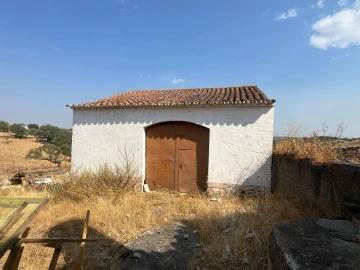 Quinta T3 para Venda em Terena (São Pedro)
