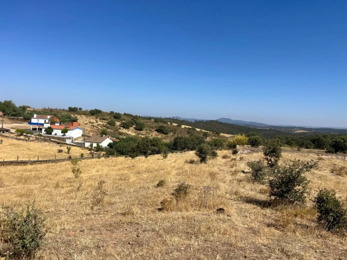 Quinta T3 para Venda em Terena (São Pedro) Foto 49