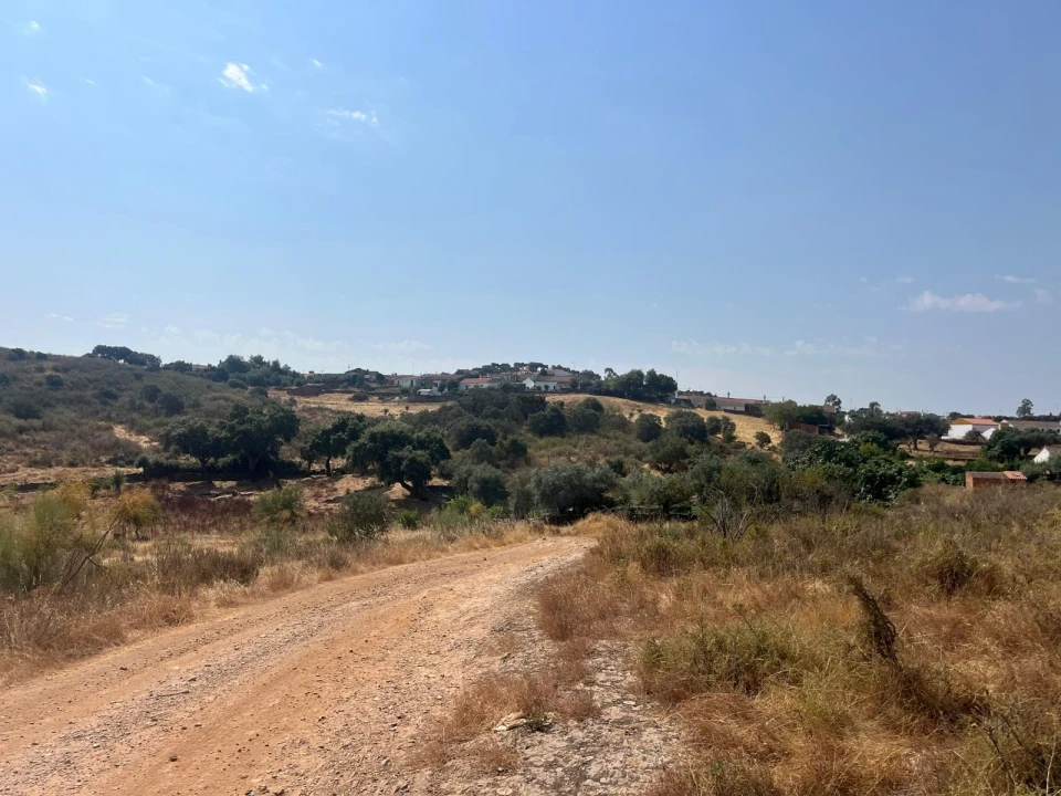 Quinta T3 para Venda em Terena (São Pedro) Foto 44