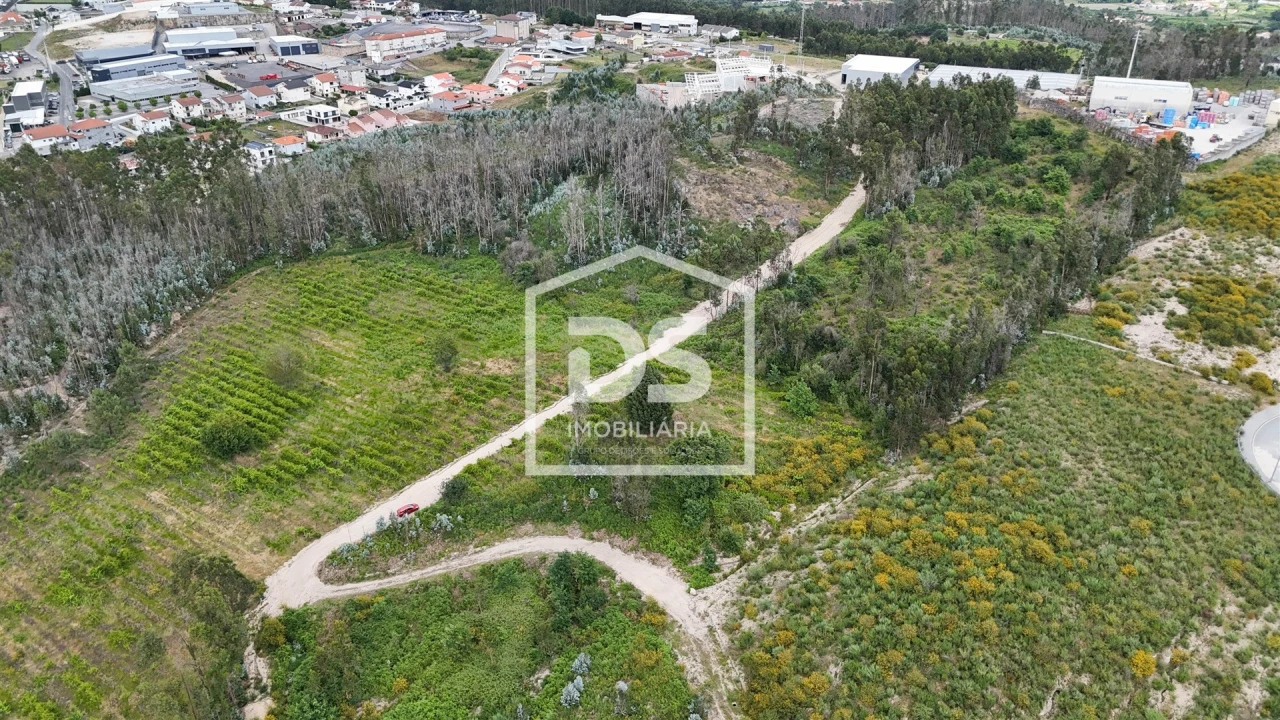 Terreno Comércio / Armazém para Venda em Caide de Rei Foto 12