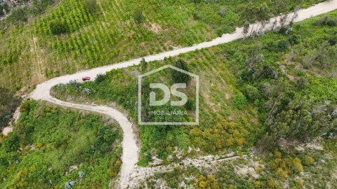Terreno Comércio / Armazém para Venda em Caide de Rei