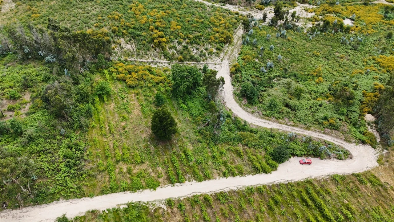 Terreno Comércio / Armazém para Venda em Caide de Rei Foto 4