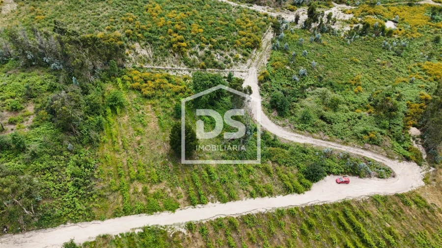 Terreno Comércio / Armazém para Venda em Caide de Rei Foto 4