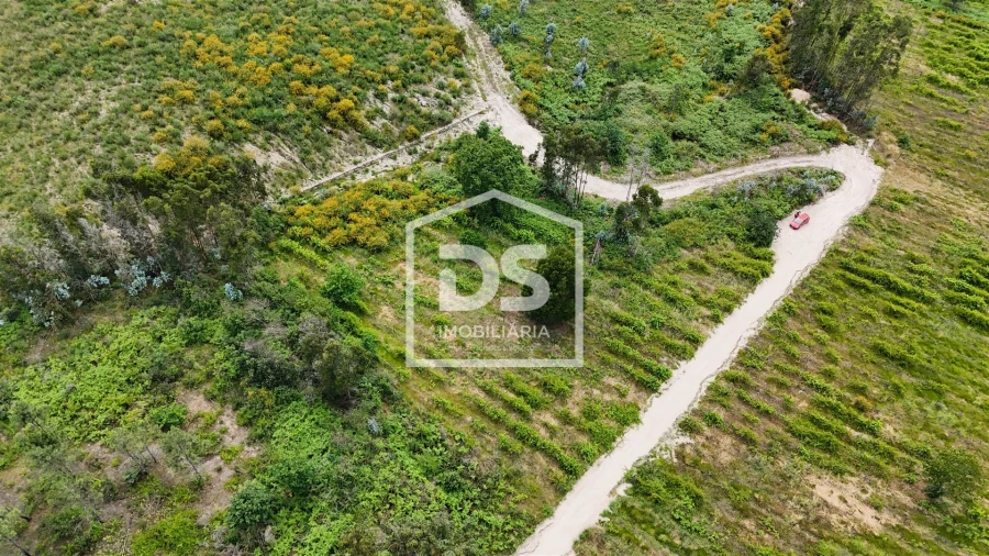 Terreno Comércio / Armazém para Venda em Caide de Rei Foto 5