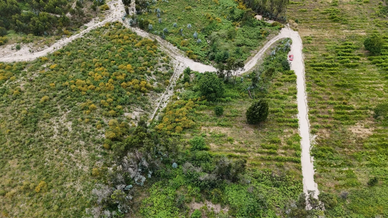Terreno Comércio / Armazém para Venda em Caide de Rei Foto 7