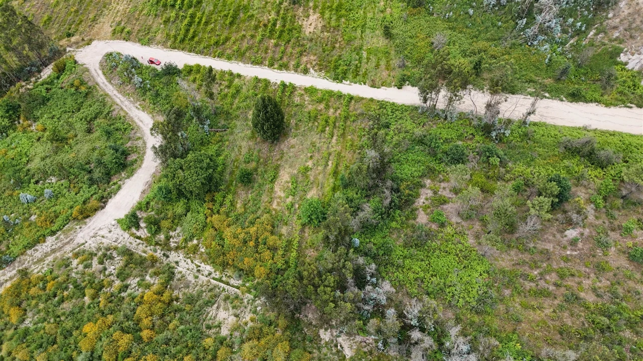 Terreno Comércio / Armazém para Venda em Caide de Rei Foto 8