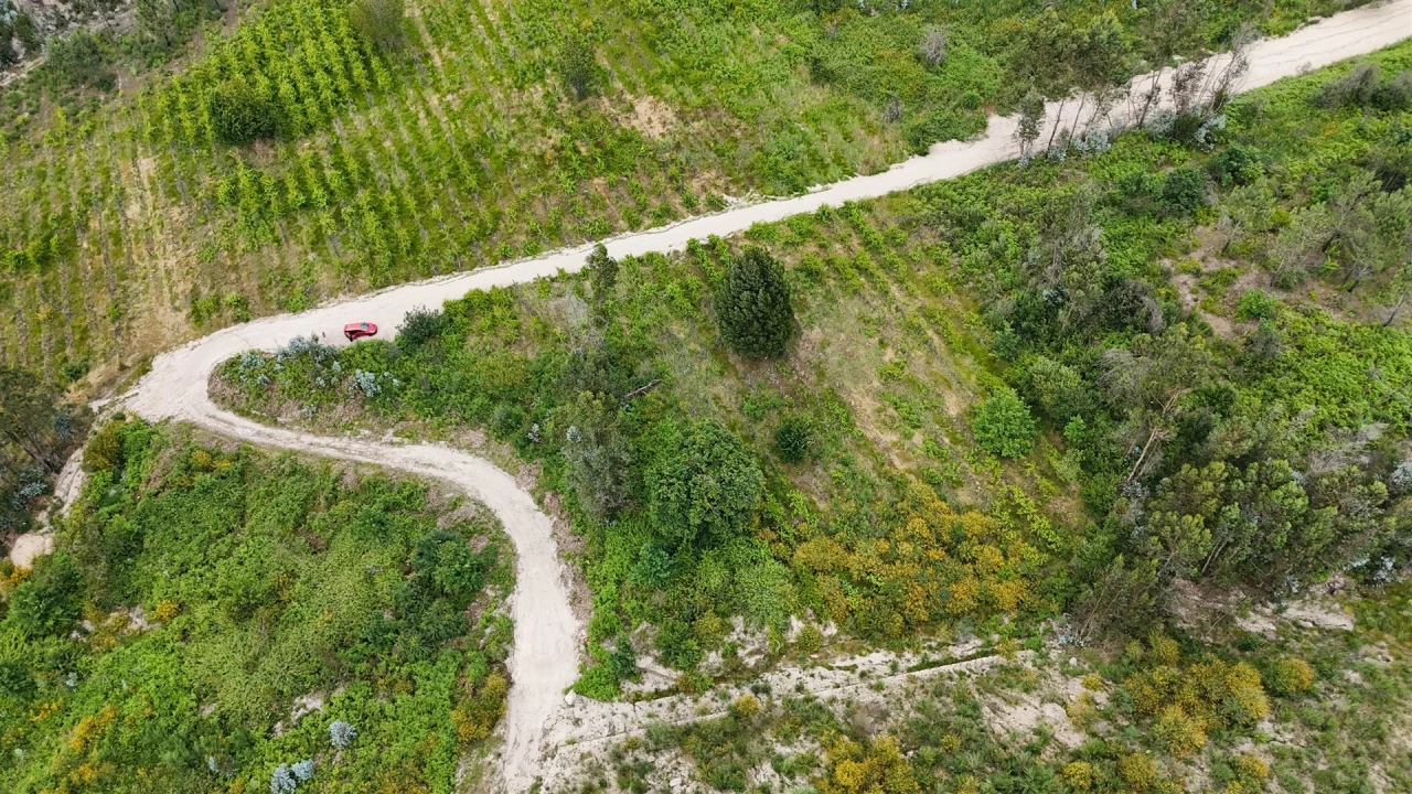 Terreno Comércio / Armazém para Venda em Caide de Rei Foto 9