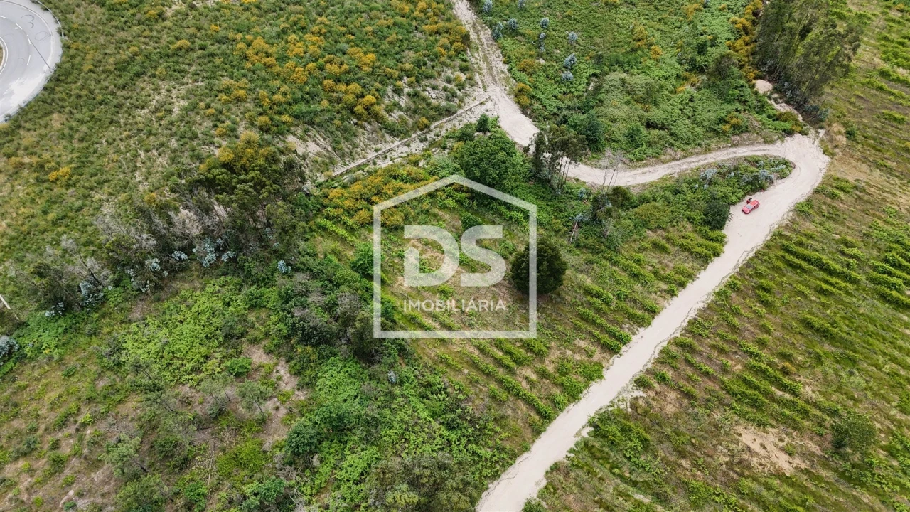 Terreno Comércio / Armazém para Venda em Caide de Rei Foto 6
