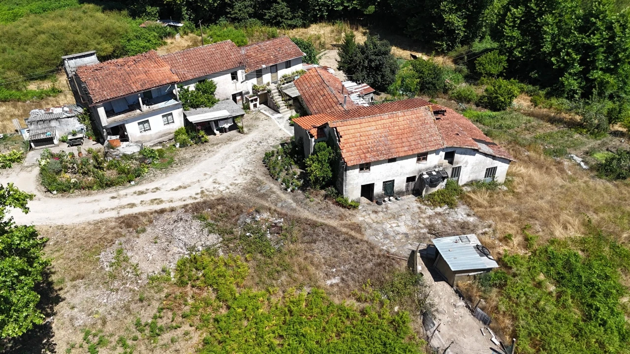 Quinta T12 para Venda em Macieira Foto 7