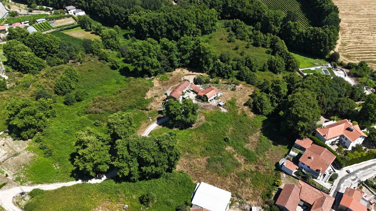Quinta T12 para Venda em Macieira Foto 3