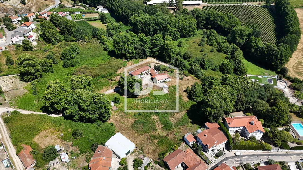 Quinta T12 para Venda em Macieira Foto 4