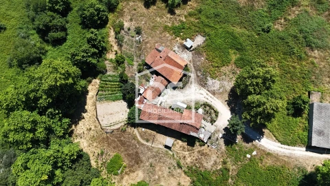 Quinta T12 para Venda em Macieira