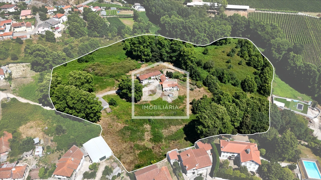 Quinta T12 para Venda em Macieira Foto 1