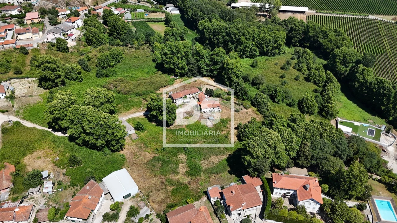Quinta T12 para Venda em Macieira Foto 5