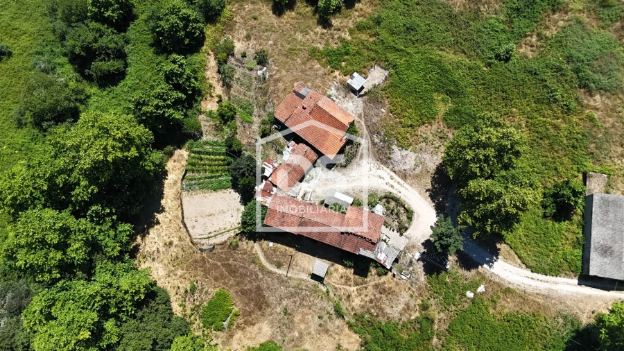 Quinta T12 para Venda em Macieira Foto 14