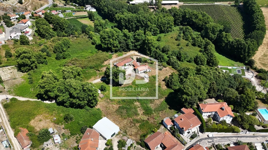 Quinta T12 para Venda em Macieira Foto 4