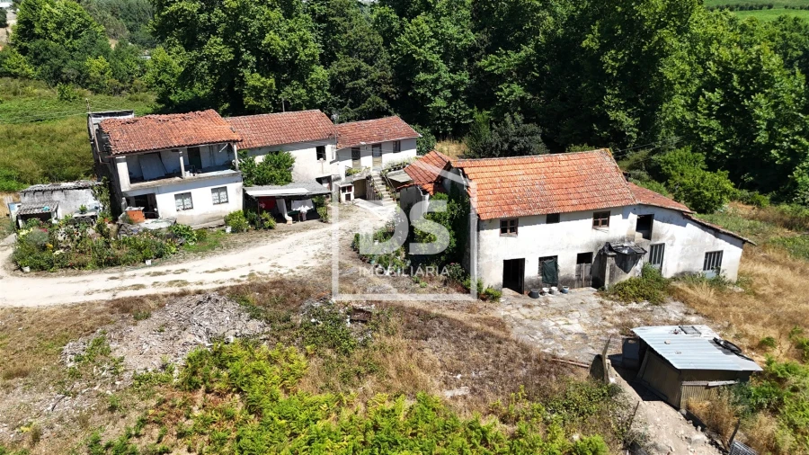 Quinta T12 para Venda em Macieira Foto 9