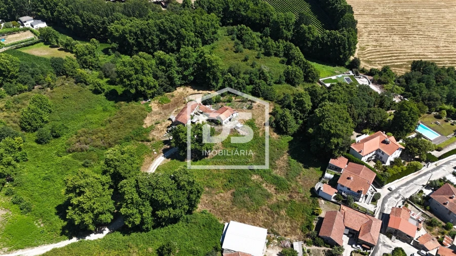 Quinta T12 para Venda em Macieira Foto 2